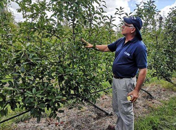 Las Brujas 1|Las Brujas 2|Las Brujas 3